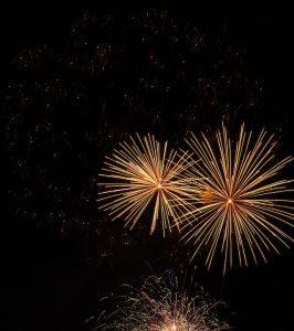2020 New Year's Eve Fireworks, Yarra Park
