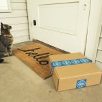 Brown tabby cat on brown cardboard box