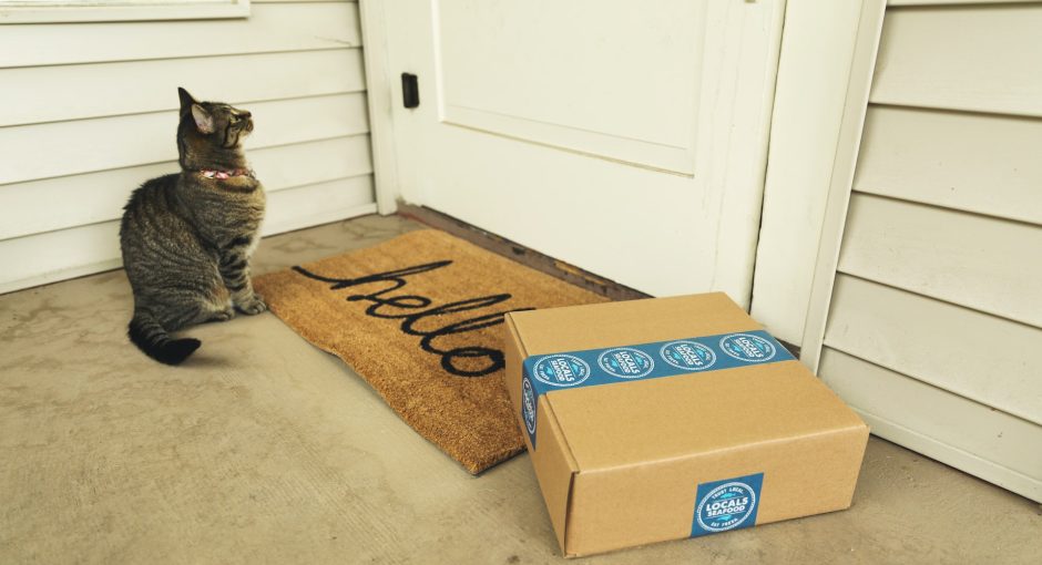 Brown tabby cat on brown cardboard box